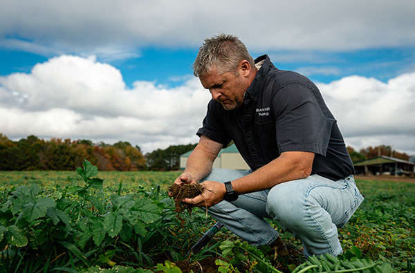 ሰብሎችን ይሸፍኑ