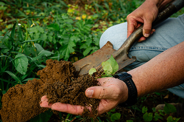 Soil health and regenerative agriculture