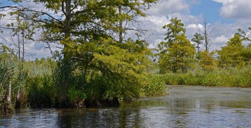 northwest river nap photo