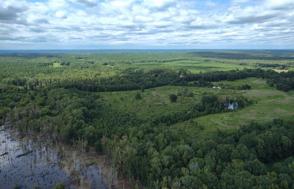 በደቡብ በኩል የሳቫና የተፈጥሮ አካባቢ ጥበቃ