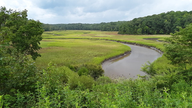 ዮርክ ወንዝ ግዛት ፓርክ