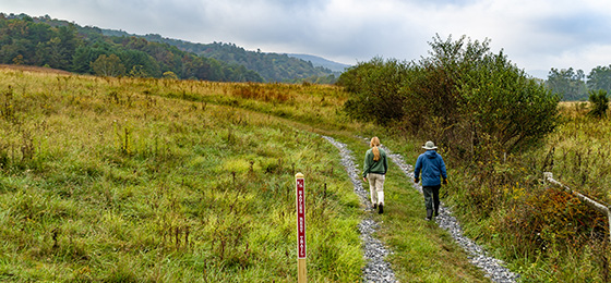 ተንሸራታች ምስሎች