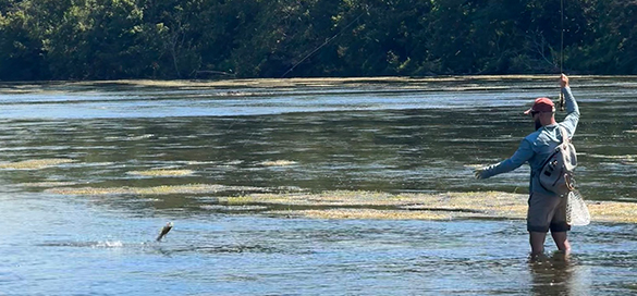 ተንሸራታች ምስሎች