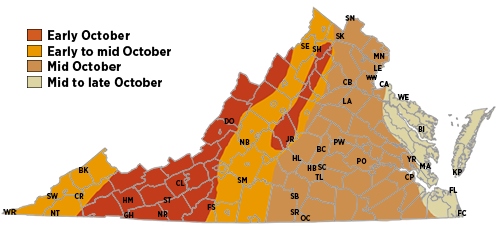 የውድቀት ቀለም ትንበያ ካርታ