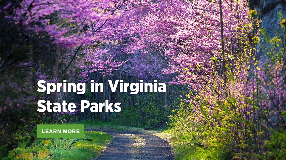 በቨርጂኒያ ግዛት ፓርኮች ውስጥ ጸደይ